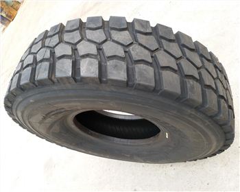 2190-3101011-B 輪胎